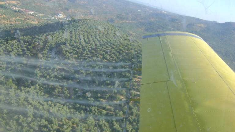 Empiezan los tratamientos aéreos contra la mosca del olivo en la zona Empiezan los tratamientos aéreos contra la mosca del olivo en la zona