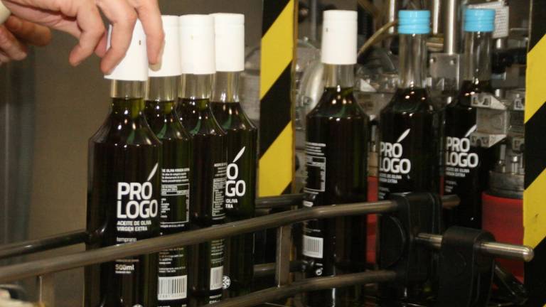 Jaencoop moltura las mejores aceitunas para su “Prólogo”