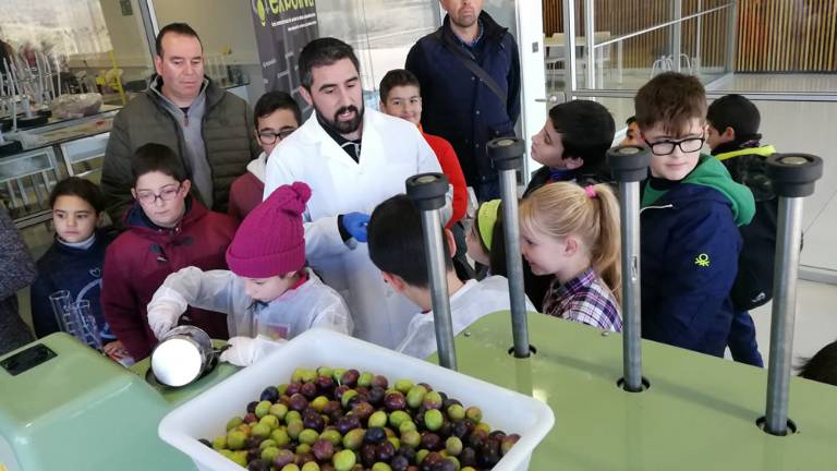 Museo Terra Oleum, una visita obligada