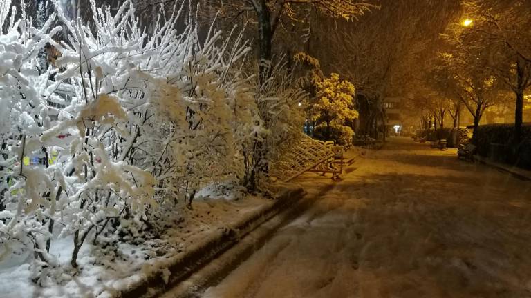 Todas las imágenes de la nieve en Jaén Todas las imágenes de la nieve en Jaén