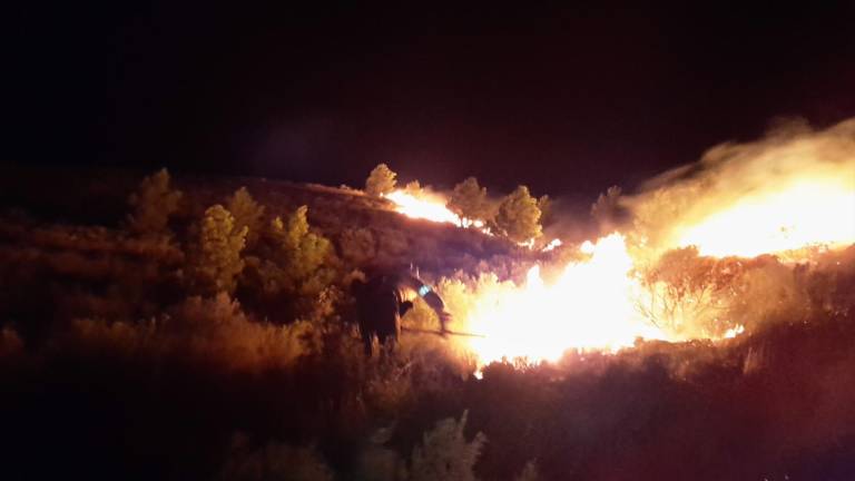 Un fuego de origen sospechoso quema 50 hectáreas en Jódar Un fuego de origen sospechoso quema 50 hectáreas en Jódar