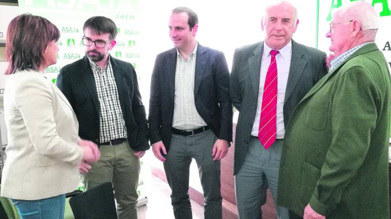 La investigación con drones en el olivar despega en Jaén La investigación con drones en el olivar despega en Jaén