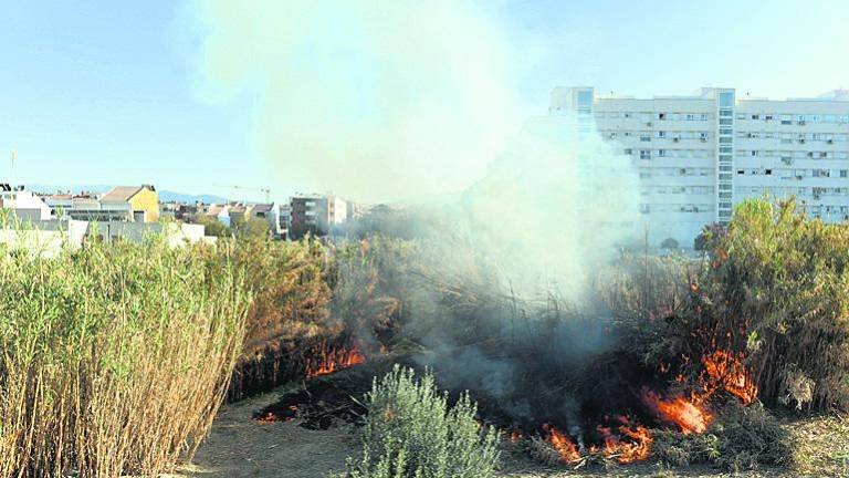 Incendio de rastrojos en una parcela en el Bulevar