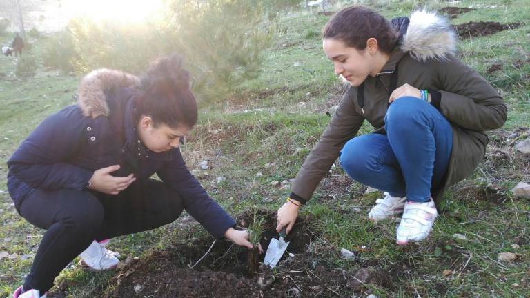 Un árbol, un libro, un hijo