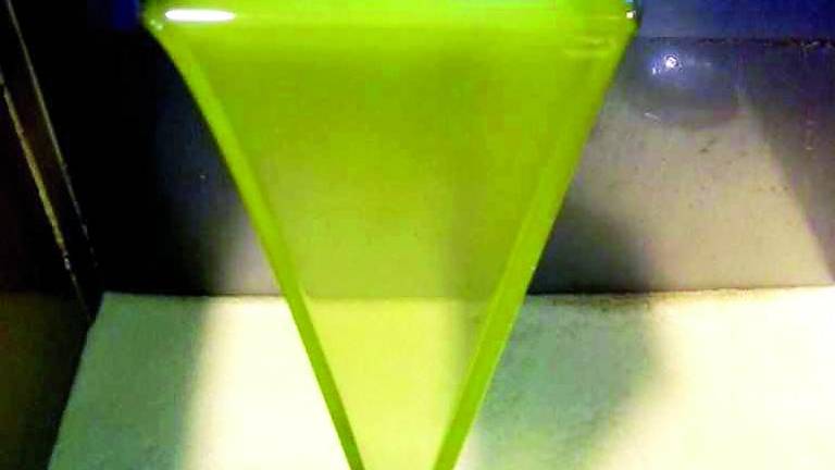 Los alquimistas del buen aceite inician la recogida de la aceituna Los alquimistas del buen aceite inician la recogida de la aceituna
