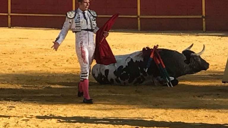 No habrá toros este año en la Real Feria de San Mateo No habrá toros este año en la Real Feria de San Mateo