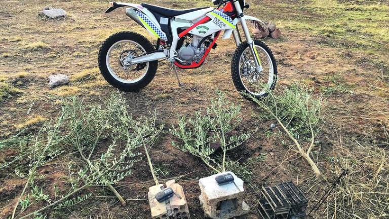 Interceptados tres hombres por cazar pájaros con “liria” Interceptados tres hombres por cazar pájaros con “liria”