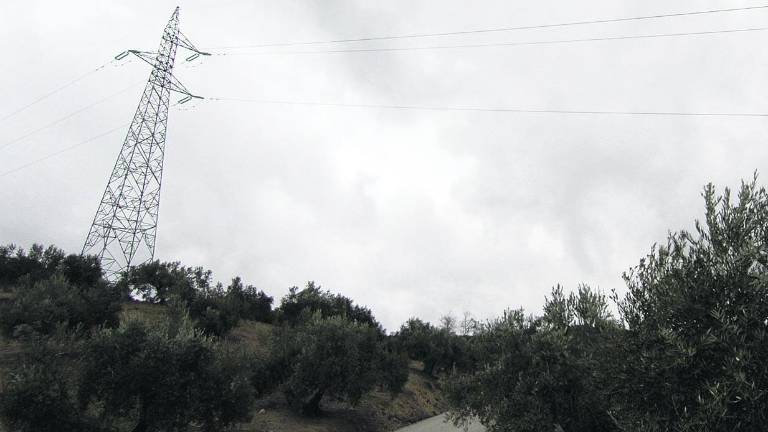 Denuncia a un local de comida rápida por “fraude eléctrico” Denuncia a un local de comida rápida por “fraude eléctrico”