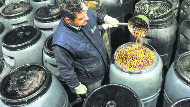 Una empresa que extiende los sabores del mar de olivos Una empresa que extiende los sabores del mar de olivos