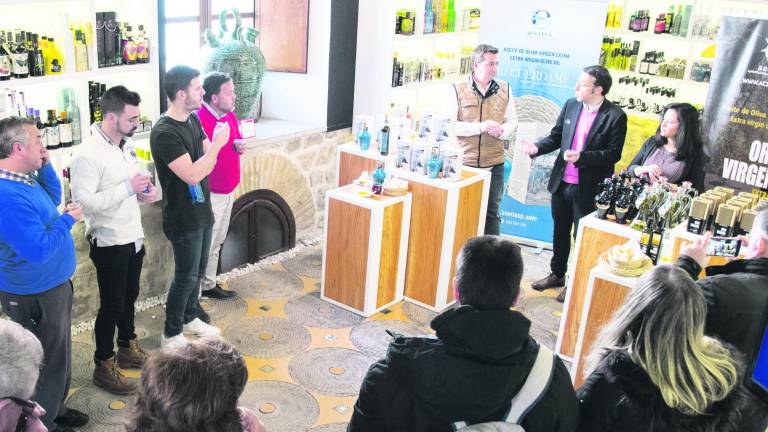 Un buen acercamiento al mundo del aceite de oliva con la cata de Aceitex Un buen acercamiento al mundo del aceite de oliva con la cata de Aceitex