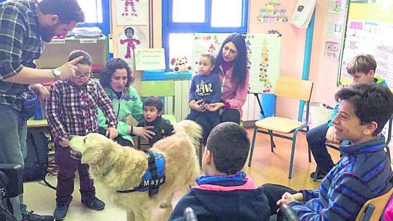 Más de 500 alumnos se benefician del programa educativo con perros