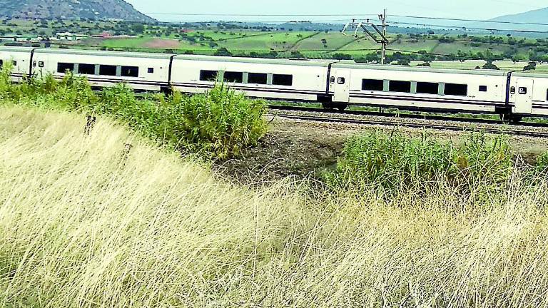 El tren que conecta Granada-Madrid vuelve el próximo 26 de noviembre El tren que conecta Granada-Madrid vuelve el próximo 26 de noviembre