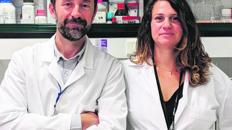 La cura de la diabetes está en manos de investigadores andaluces La cura de la diabetes está en manos de investigadores andaluces