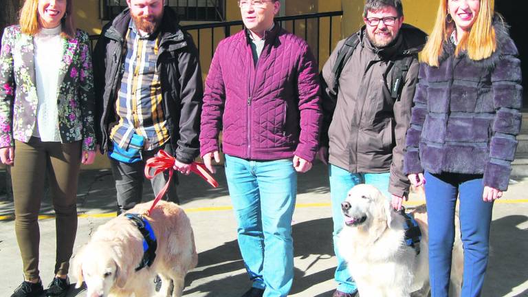 Perros en las aulas como apoyo en la enseñanza diaria de los alumnos