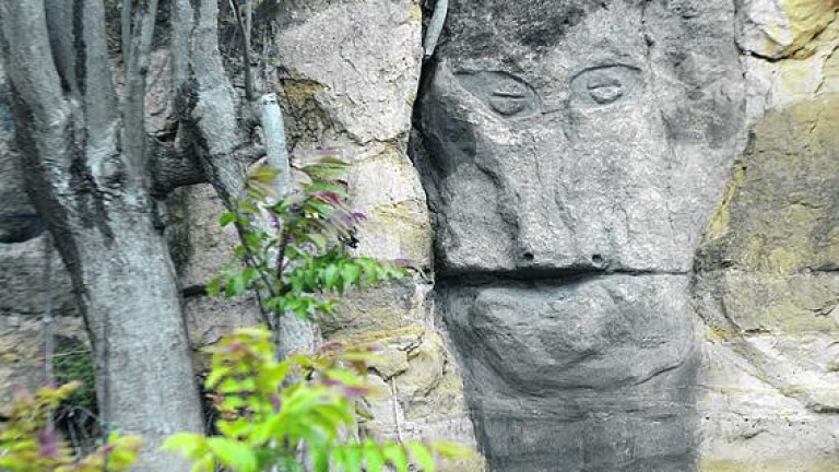 El “artista” de Baeza que es capaz de ver caras en la roca