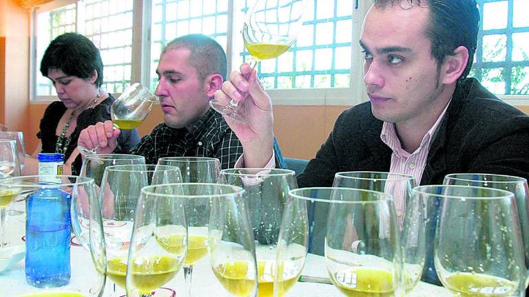 Jaén abandera la protección de la cata para defender el buen aceite Jaén abandera la protección de la cata para defender el buen aceite