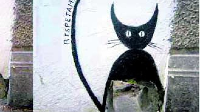 De uñas en San Ildefonso por la presencia de “gatos negros”