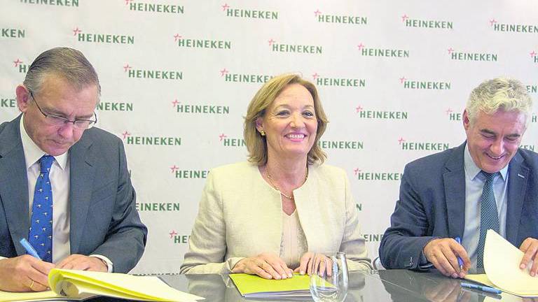 Heineken revisa cómo plantar cebada cervecera en el olivar Heineken revisa cómo plantar cebada cervecera en el olivar