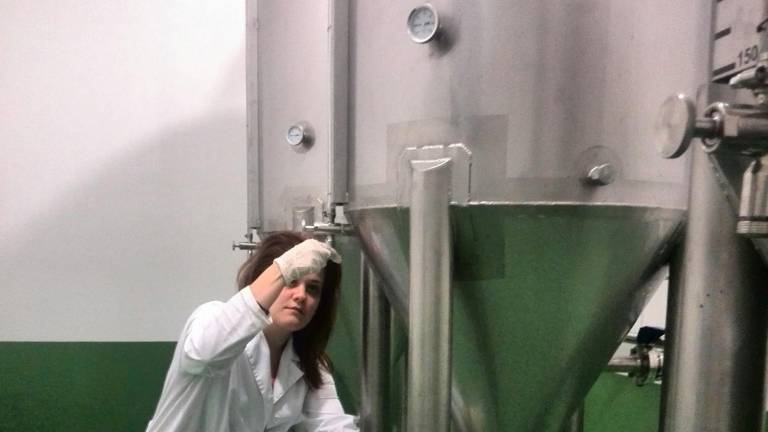 Los artesanos de la cerveza Los artesanos de la cerveza