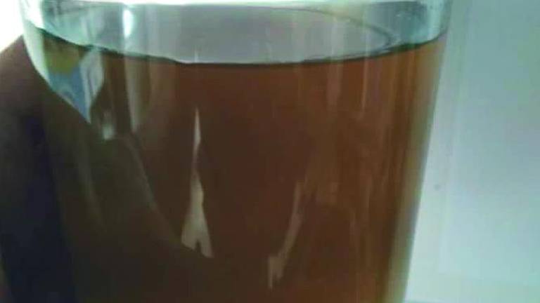 El PP de Vilches advierte del mal estado del agua de la red pública El PP de Vilches advierte del mal estado del agua de la red pública