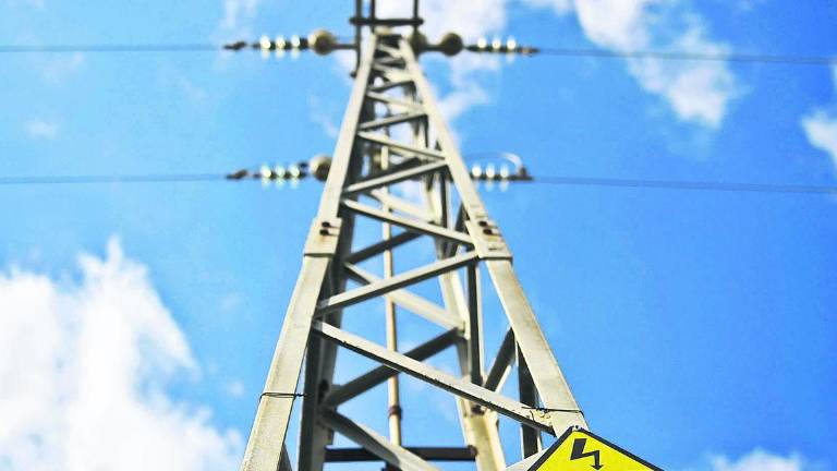 Endesa invierte más de tres millones en protección ambiental Endesa invierte más de tres millones en protección ambiental