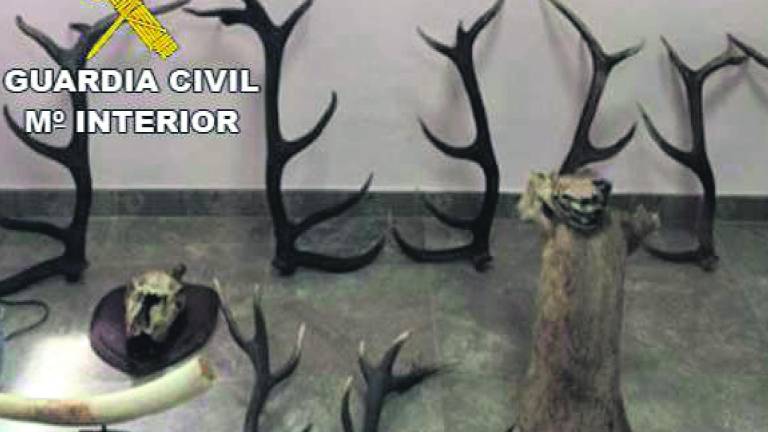La Guardia Civil asesta un nuevo golpe a los “furtivos del desmogue” La Guardia Civil asesta un nuevo golpe a los “furtivos del desmogue”