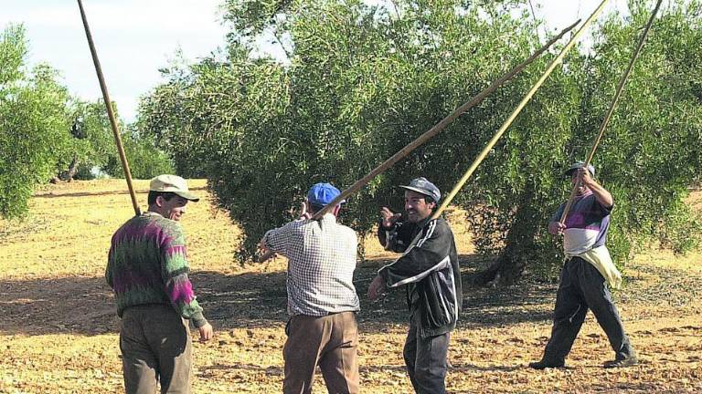 La subdelegada buscará un pacto para mejorar los alojamientos temporeros