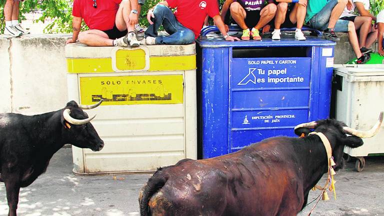 Encierros taurinos y mucho fervor