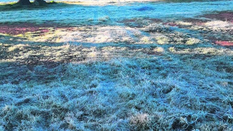 La escarcha toma los campos