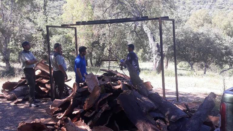 El corcho mueve más de 700.000 euros en el parque de Despeñaperros El corcho mueve más de 700.000 euros en el parque de Despeñaperros