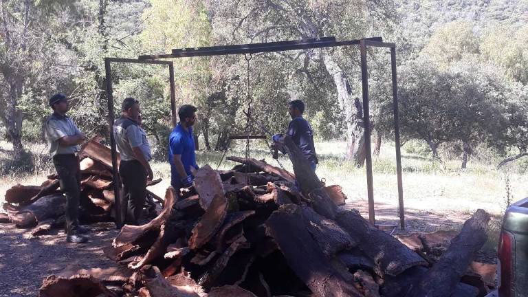 El corcho mueve más de 700.000 euros en el parque de Despeñaperros