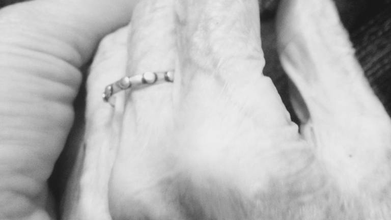 Las manos de mi abuela Las manos de mi abuela