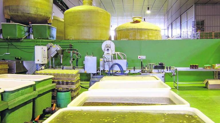 Una empresa familiar embajadora de la tierra de Jaén y sus productos Una empresa familiar embajadora de la tierra de Jaén y sus productos