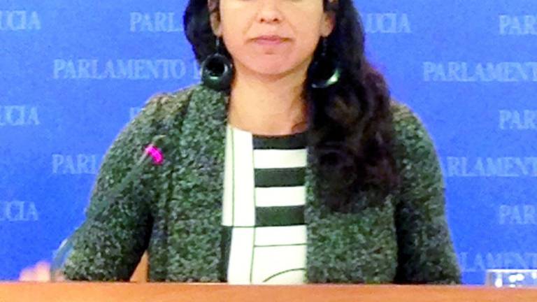 Podemos pide bajadas de sueldo y dietas reales para parlamentarios Podemos pide bajadas de sueldo y dietas reales para parlamentarios