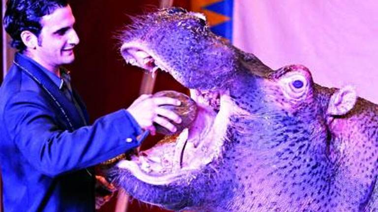 El Ayuntamiento “recomienda” al circo que no traiga animales El Ayuntamiento “recomienda” al circo que no traiga animales
