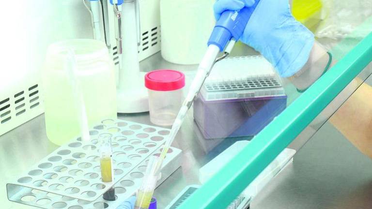 Muestras de generosidad que hacen avanzar la investigación Muestras de generosidad que hacen avanzar la investigación