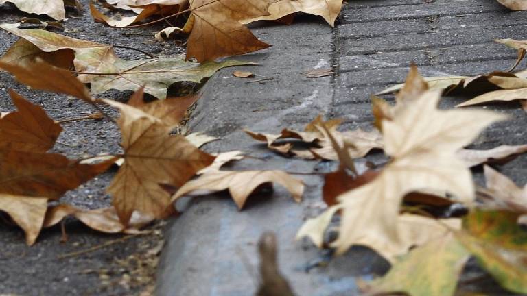 Rachas de viento de hasta 70 kilómetros por hora en la provincia Rachas de viento de hasta 70 kilómetros por hora en la provincia