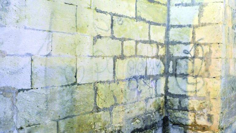 Habrá denuncia conjunta por las pintadas en la Catedral