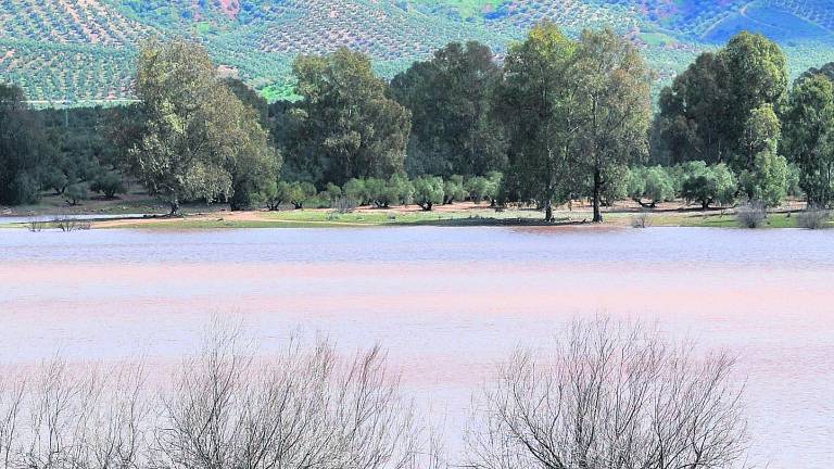 Las reservas de agua están al 57,63% tras las recientes lluvias Las reservas de agua están al 57,63% tras las recientes lluvias