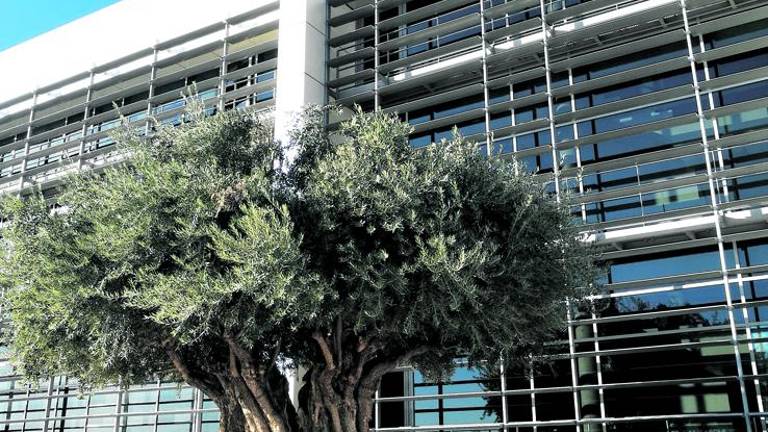 La aseguradora de Caja Rural apuesta por planes de ciclo de vida La aseguradora de Caja Rural apuesta por planes de ciclo de vida