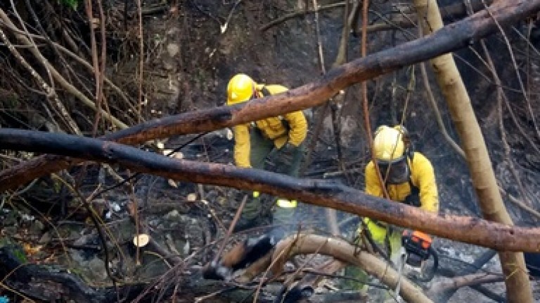 Extinguido el incendio de Sierra Mágina tras arrasar 1,5 hectáreas