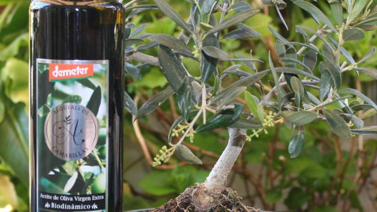 Apuesta por la calidad del aceite con la del “biodinámico” Apuesta por la calidad del aceite con la del “biodinámico”