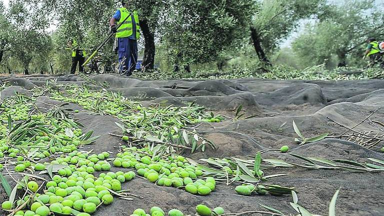 272 millones perdidos en la PAC 272 millones perdidos en la PAC