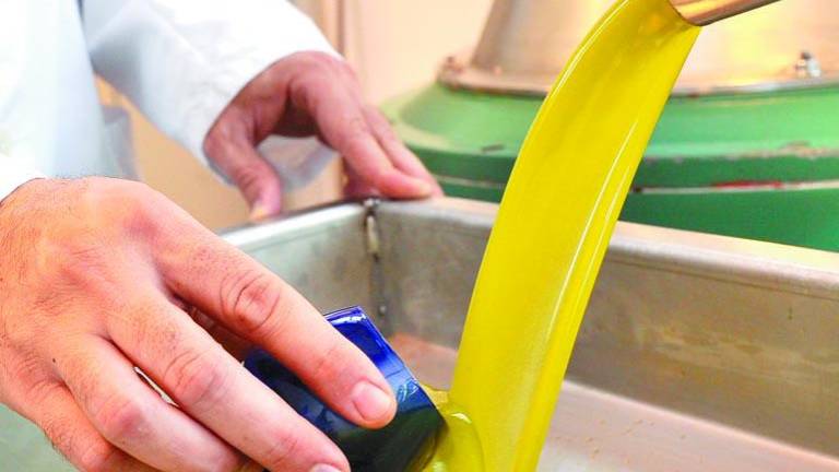 Expertos intentan catalogar el aceite de un modo más sencillo Expertos intentan catalogar el aceite de un modo más sencillo