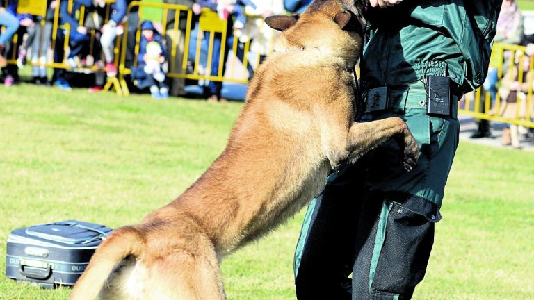 Las Fuerzas de Seguridad exhiben su “poderío canino”
