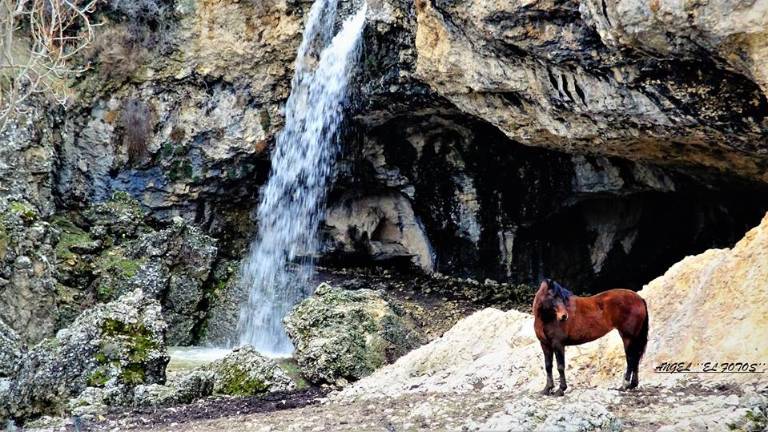 La gran sinfonía del agua La gran sinfonía del agua