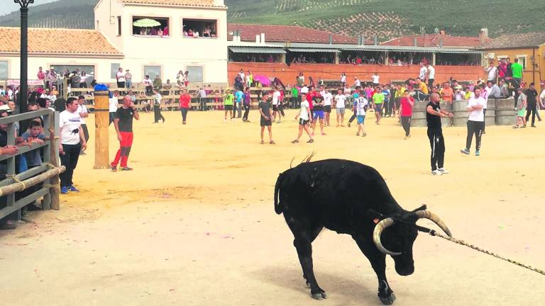 Arroyo del Ojanco, epicentro de la fiesta del toro ensogado