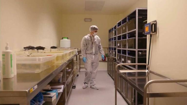Un gran apoyo a la investigación Un gran apoyo a la investigación