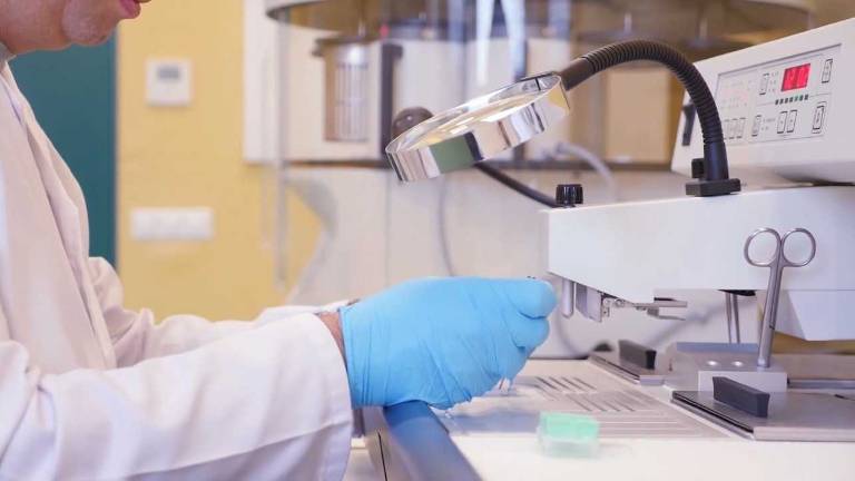 Un gran apoyo a la investigación Un gran apoyo a la investigación