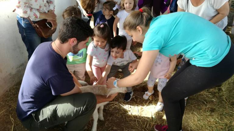 Niños conocen una granja Niños conocen una granja